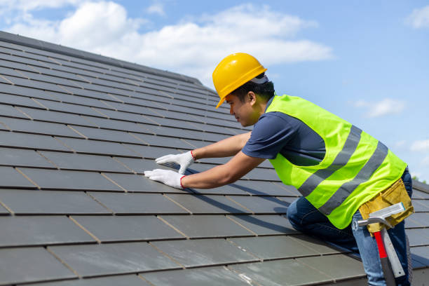Best Roof Leak Repair  in Campbellsport, WI