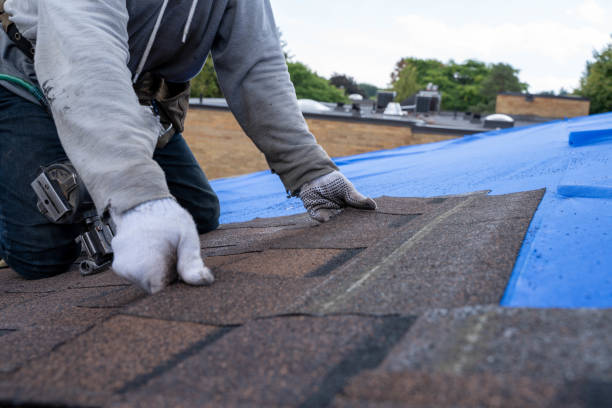 Best Local Roofing Companies  in Campbellsport, WI