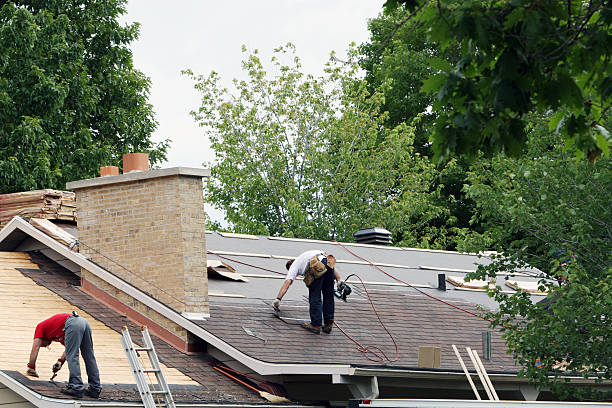 Best Storm Damage Roof Repair  in Campbellsport, WI